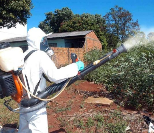 Paraná confirma mais de 9 mil casos de dengue em uma semana